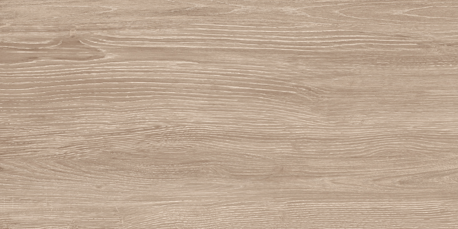 Кедр / Cedar