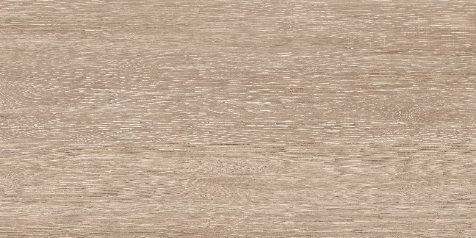 Кедр / Cedar