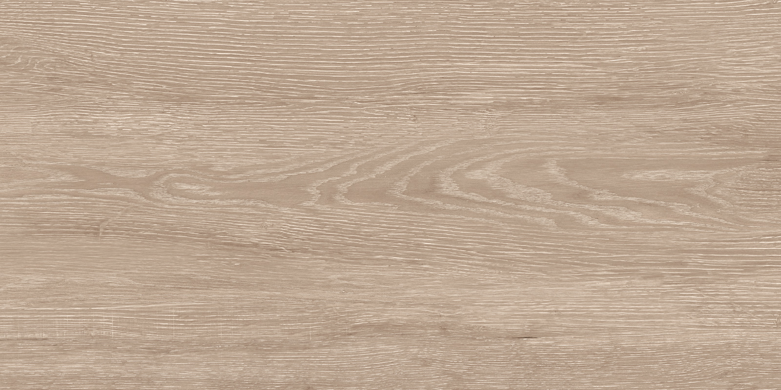 Кедр / Cedar