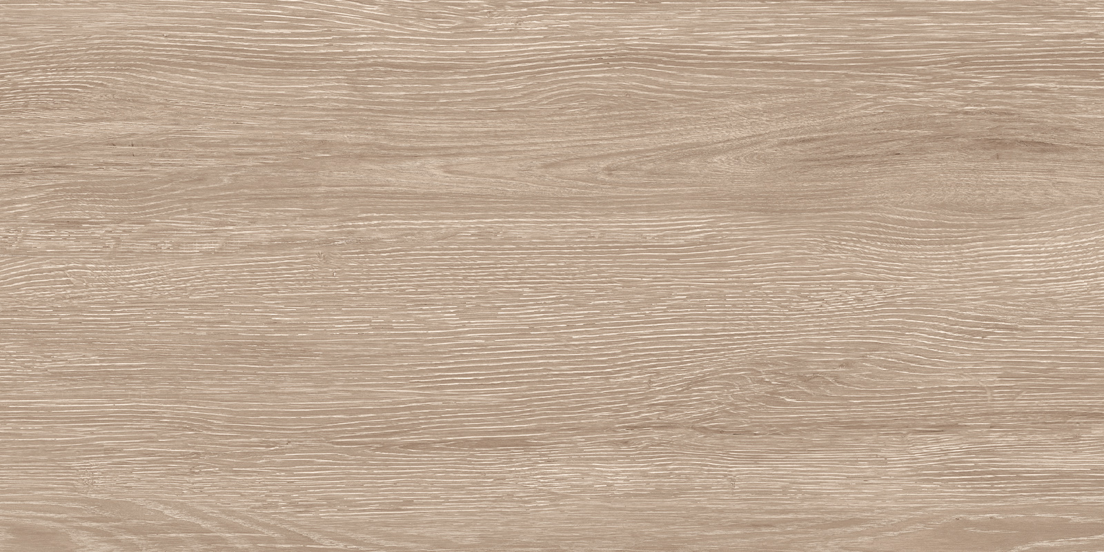 Кедр / Cedar