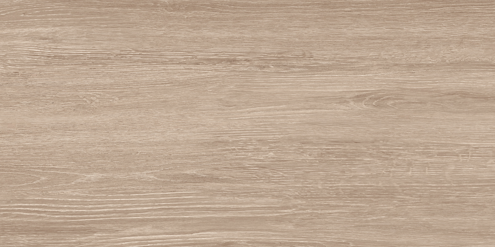 Кедр / Cedar